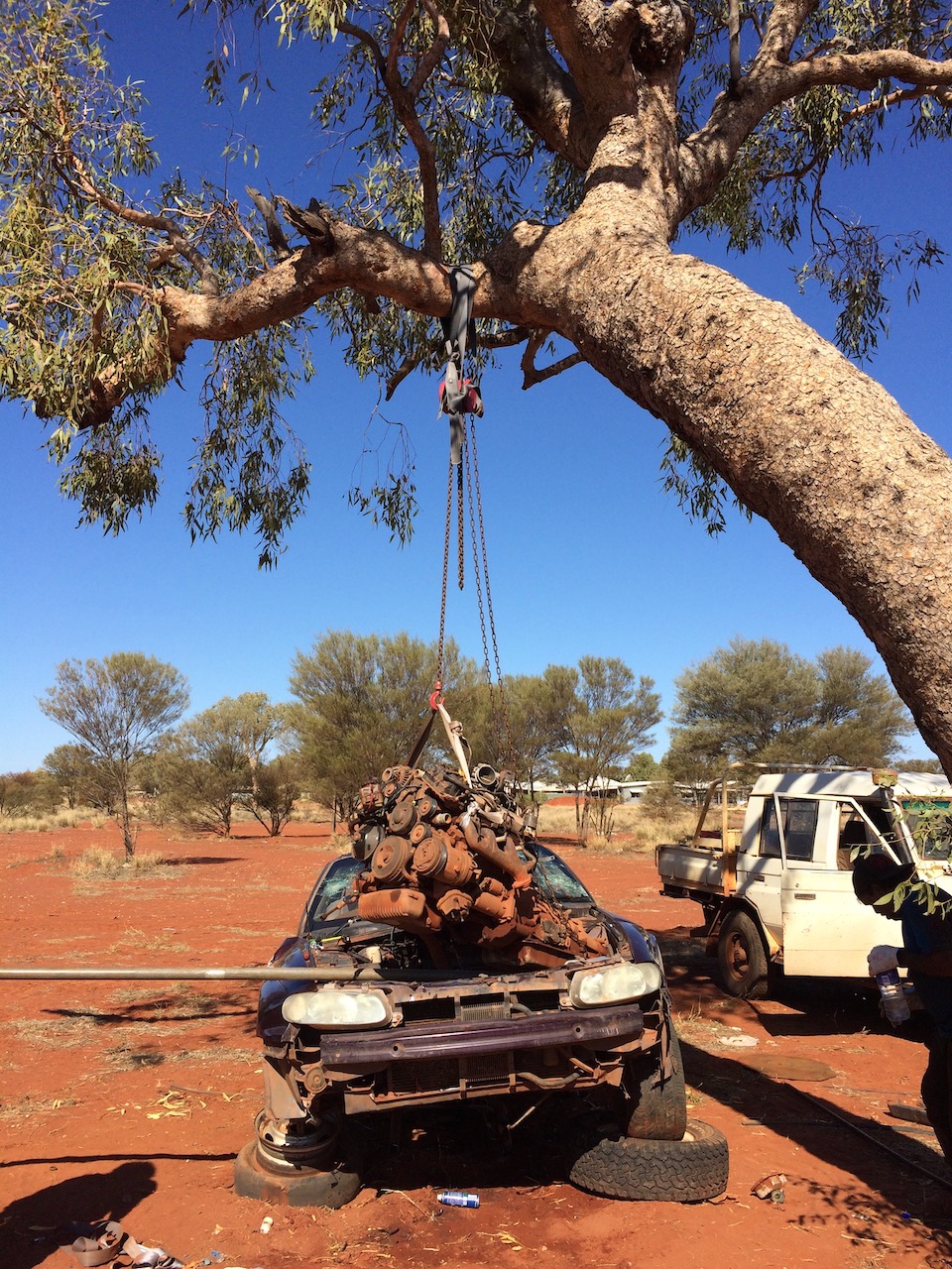 Vehicle Motor Held Up By Tree Branch